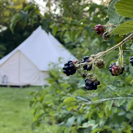 Vakantiehuis Braemle Teltet - Littlest Camp *